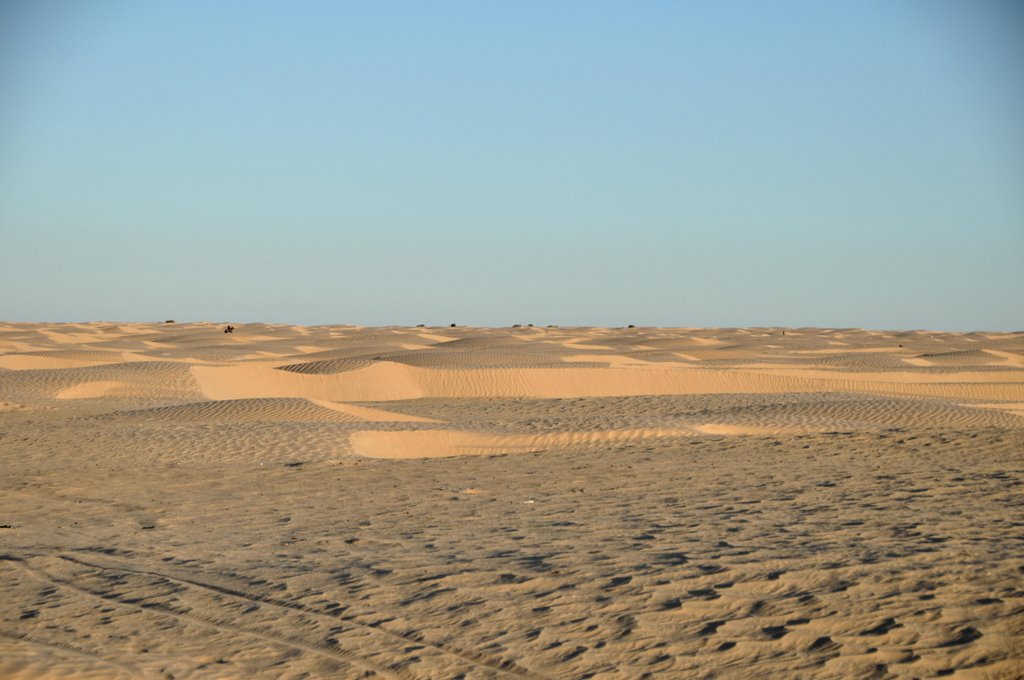 The desert near Douz by Mauro/Ornella - Tuni…