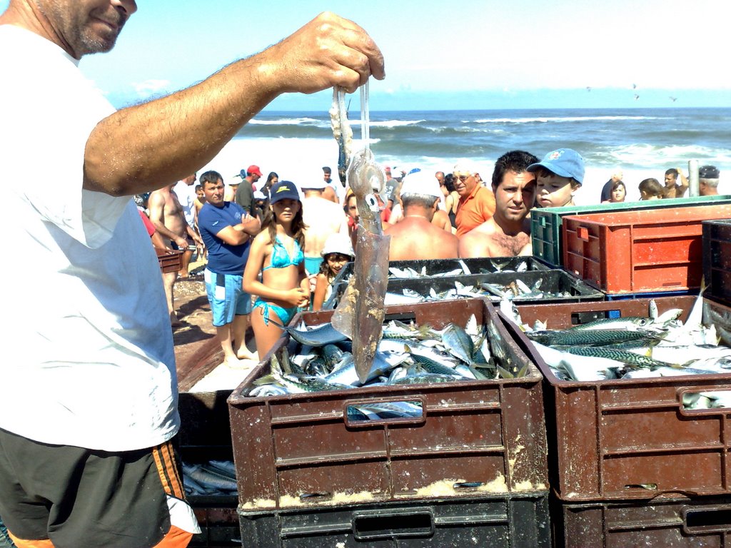 Ein grosser Fang....!! Praia da Vieira by gerdchens