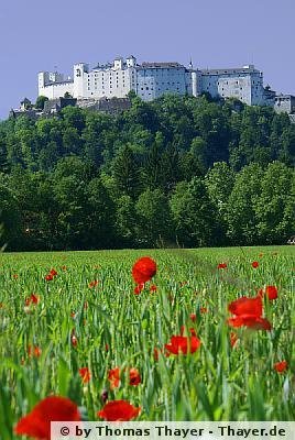 Festung Hohensalzburg by Thomas Thayer