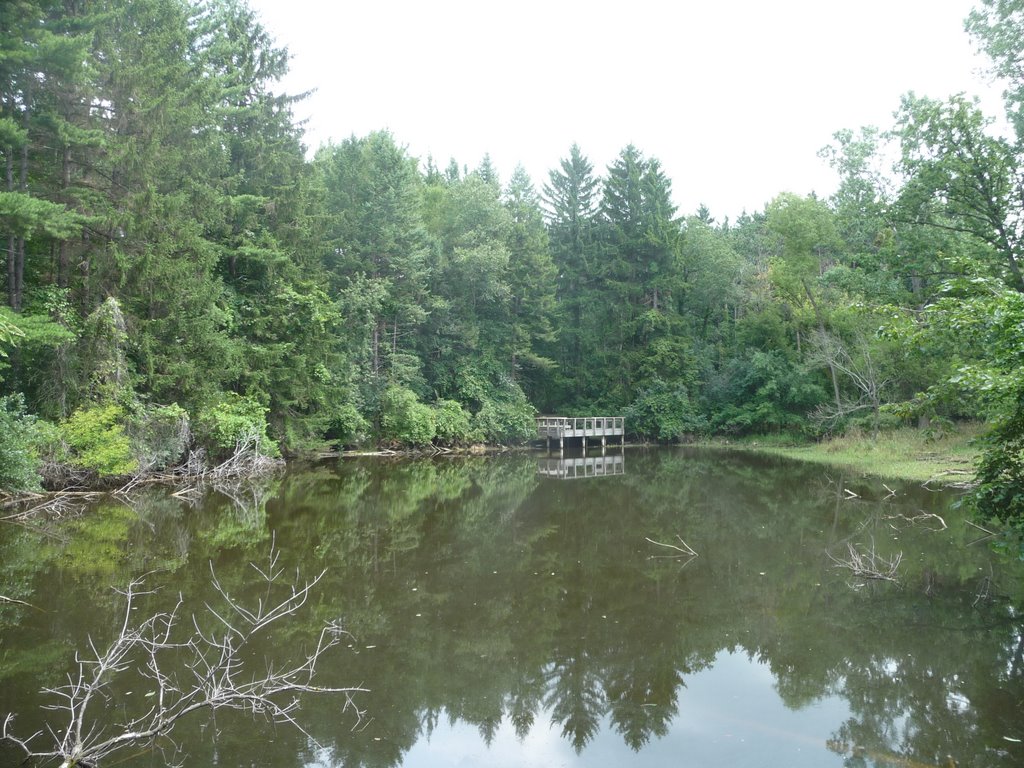 Woodland Pond, Fenner Nature Center by Joel Skok