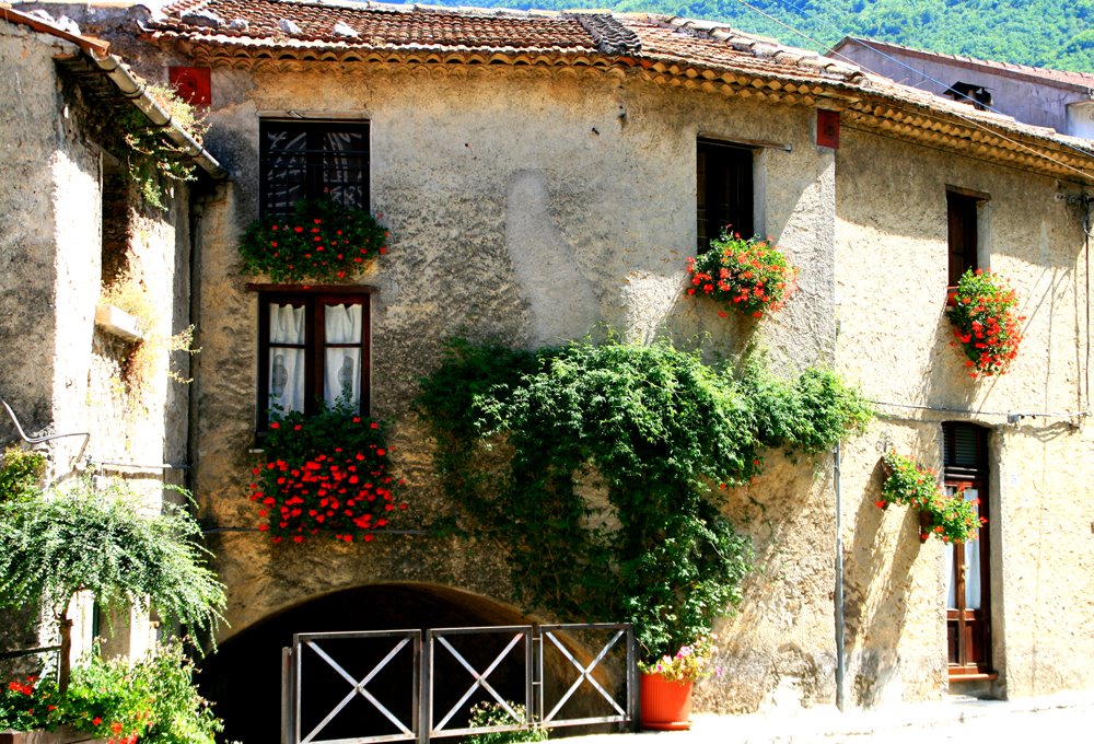 Sicignano degli Alburni (Holiday flowers) by Alessandro De Simone