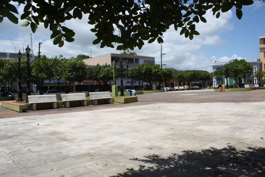 Plaza de Vega Baja by Ricardo David Jusino