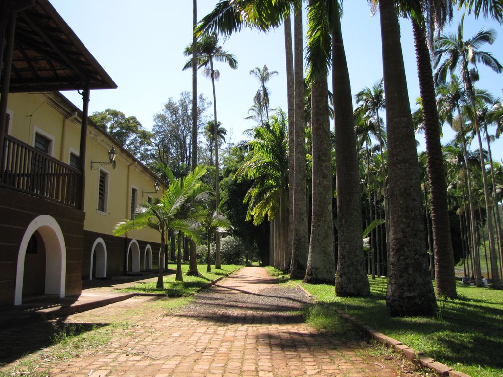 Construido em dois pavimentos, em estilo colonial era sede da Fazenda Santo Antonio, de propriedade de Raphael Tobias Paes de Barros, o 2º Barão de Piracicaba. O imóvel é cercado com bêlas Paineiras Imperiais. by joao batista shimoto