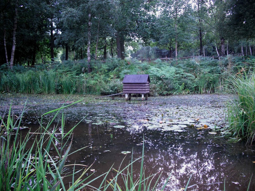 Duck House at the pond , Alice Holt Forest visitors centre by Dave Lauberts