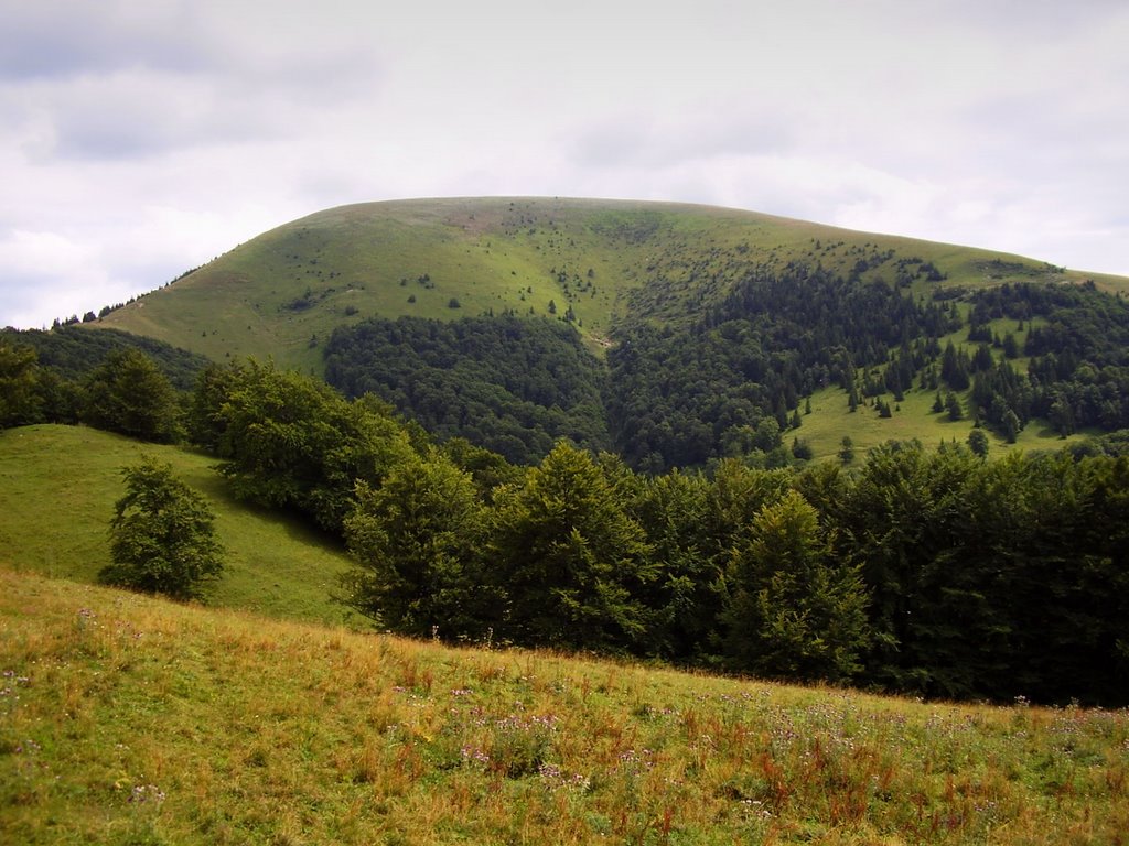 Ploská (1532 m n.m.) by Igor Marhevský