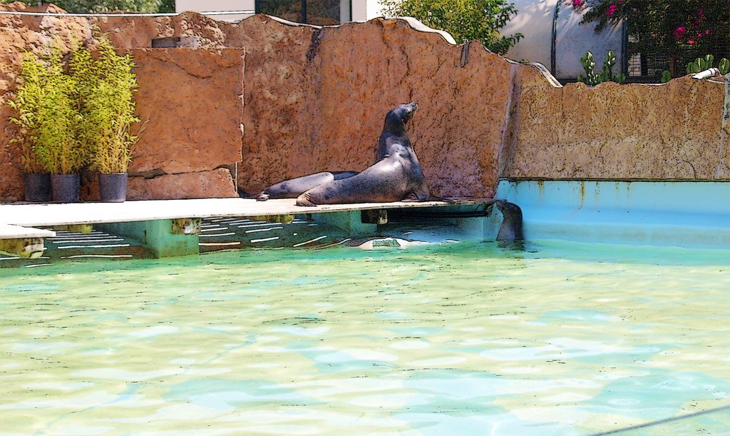 Zoo-Lisboa-Portugal-2009 by Irlando Tavares