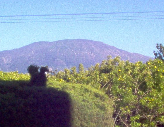 Volcán de Santa Ana Ilamatepec by marco_rend