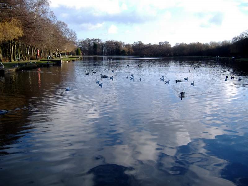 Cwmbran Boating Lake by ManBearPig