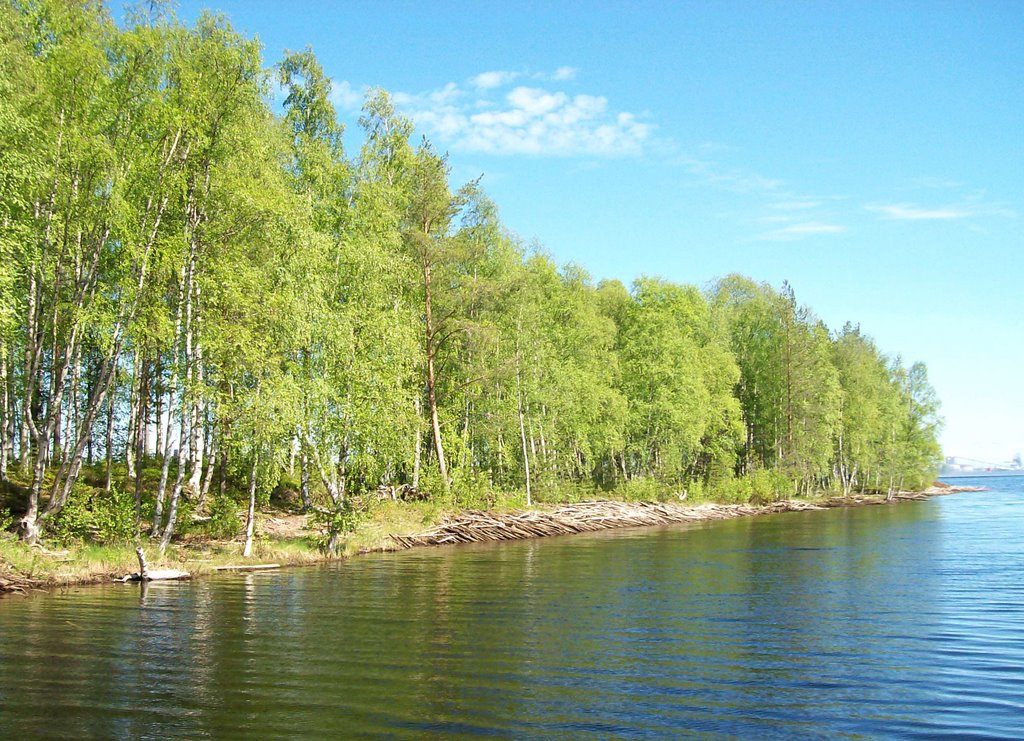 Lulea Archipelago in June by marcobertoni