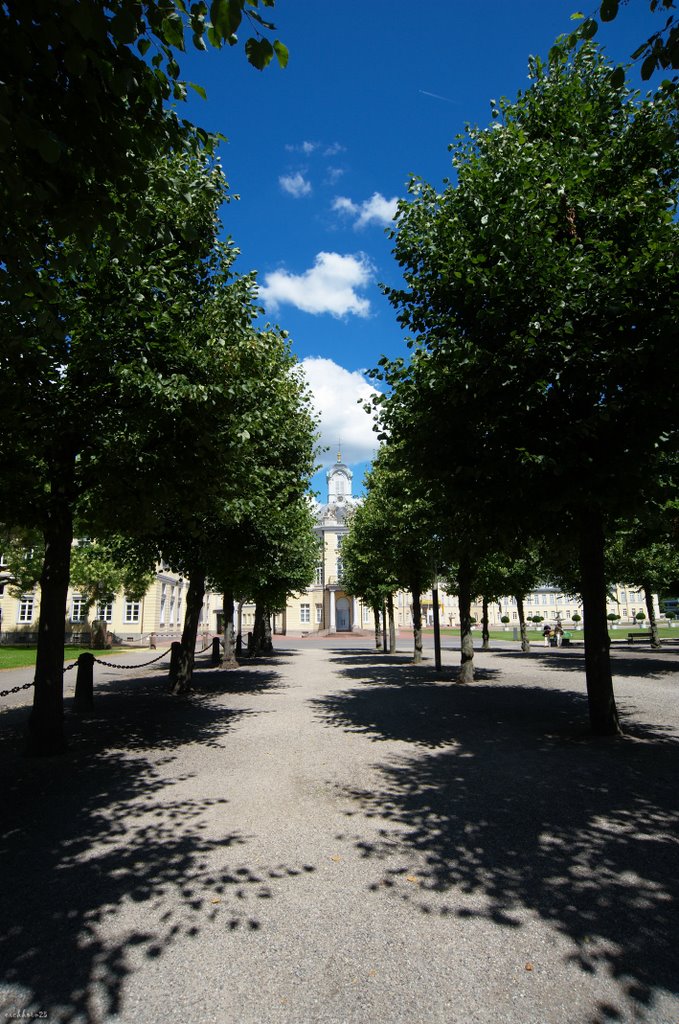 Allee am BVG in Karlsruhe. Mittagssonne. by Melli Fikation