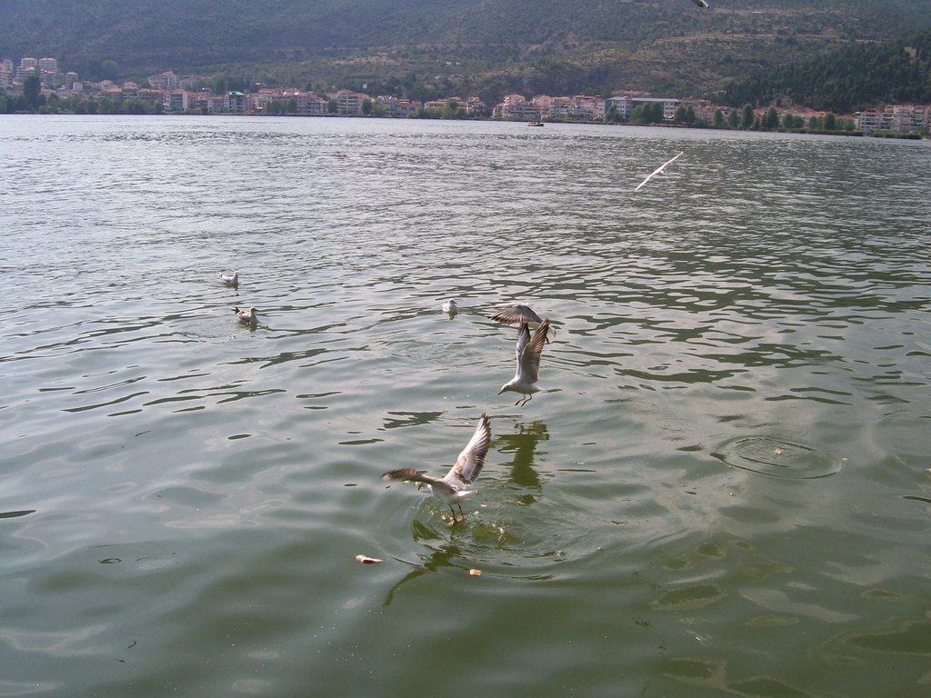 Καστορια-Λιμνη , Kastoria lake by _Konstantina.R._