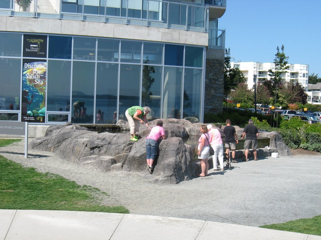 Ocean Discovery Centre by Iballz