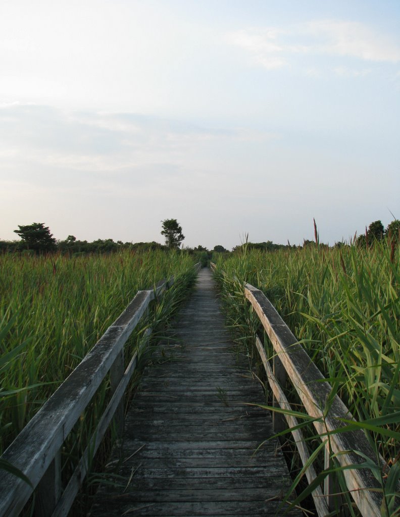 Quogue, NY, USA by Jake Bliskin