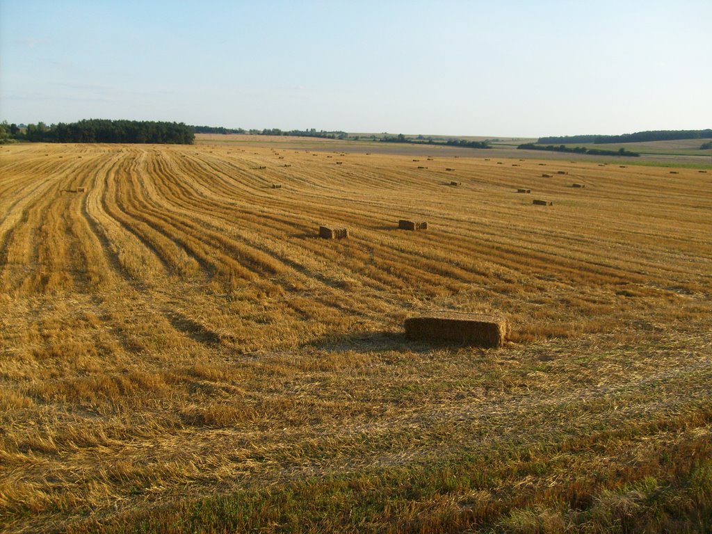 Pola RZD Uhrusk po żniwach by Paweł Páll Ævar