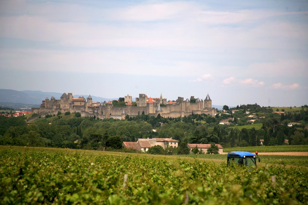 Cité de Carcassonne, Carcassonne, Aude, Languedoc-Roussillon, France by Hans Sterkendries