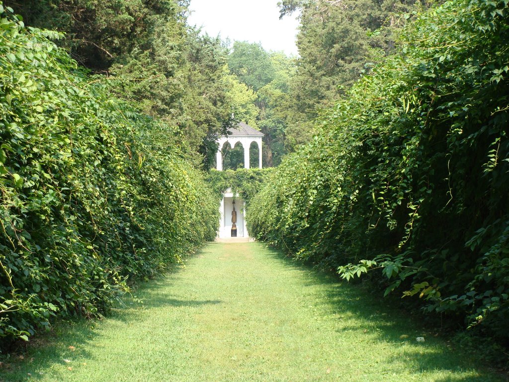 Allerton Park - Vine Walk & House Of The Golden Buddhas by Kris Smith