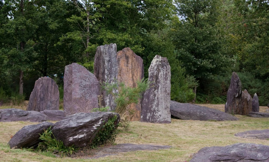 Site mégalithique des Pierres Droites by Etienne GOUMET