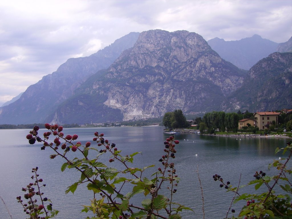 Lago di mezzola by giulia copes