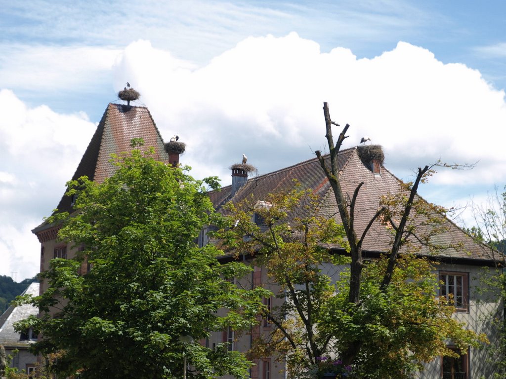 Ecole à Münster by rained in