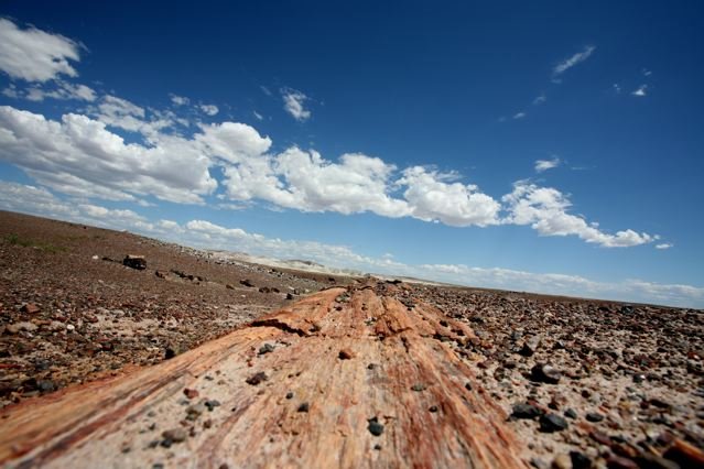 Petrified Forest National Park 2008 by fl99mac