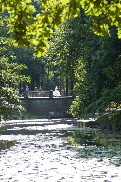 Lopukhinskiy garden by Alex Grek