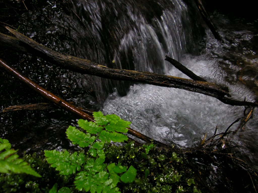 Lokčiansky potok - žblnkot vody by tommm