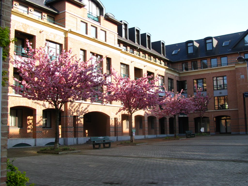 Lauzelle, 1348 Ottignies-Louvain-la-Neuve, Belgium by belolka