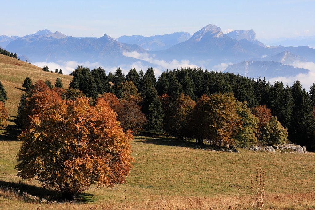 Les sommets de la Chartreuse depuis La Molière by Alain Boulanger