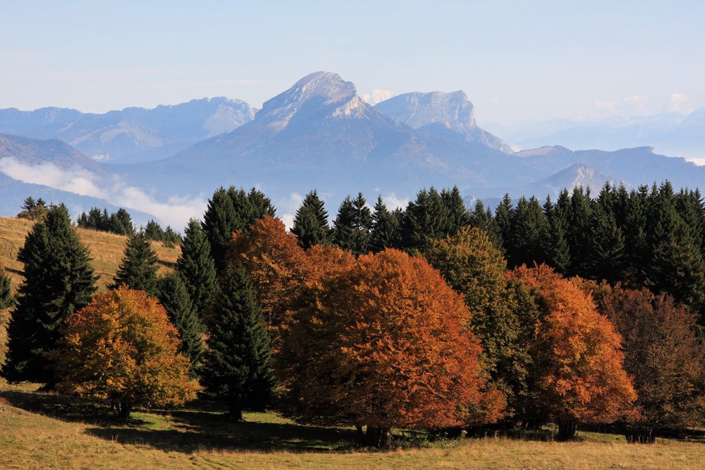 Plateau de la Molière by Alain Boulanger