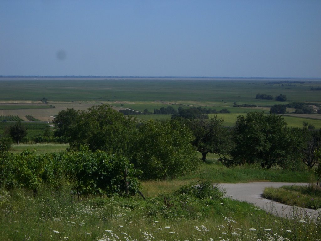 Neusiedler See by Mario Lischke