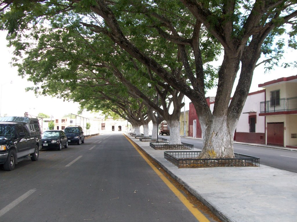 97500 Dzidzantún, Yucatan, Mexico by Victor E. Castellano…