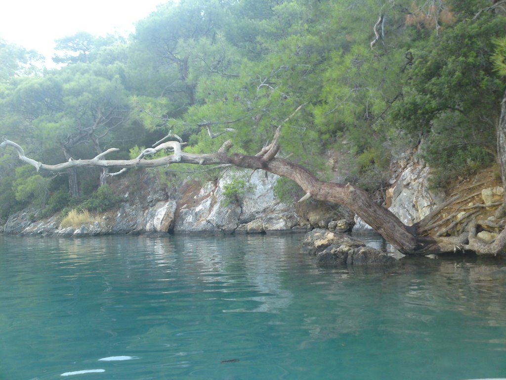 Fethiye-ölüdeniz by bursaninkrali