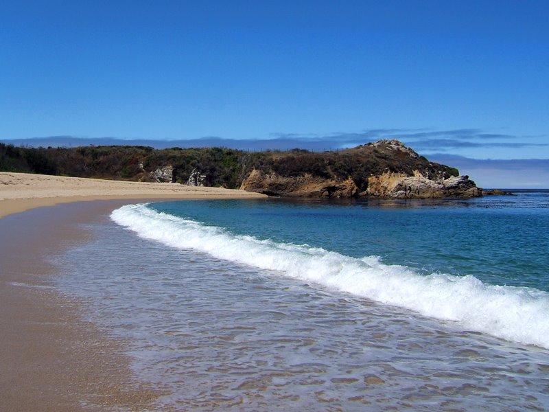 Carmel River Beach by David Rolla Wright