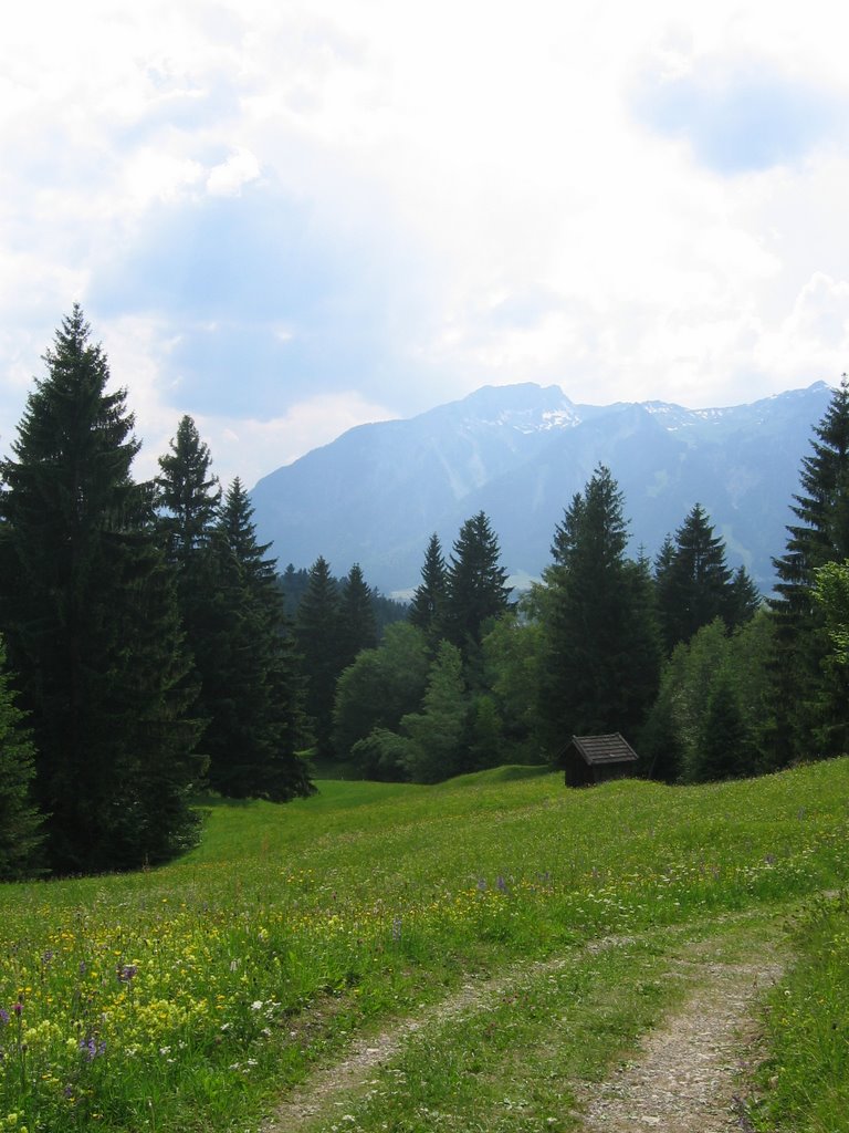 Gemeinde Breitenwang, 6600, Austria by allgauerjodler