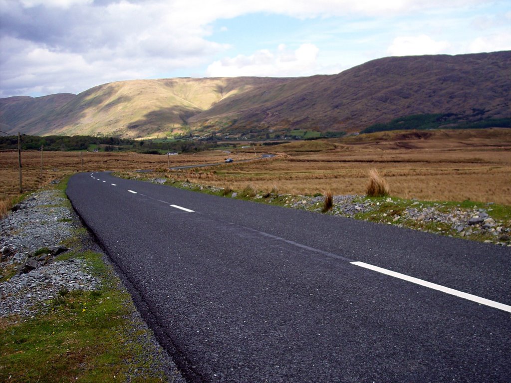 Down the Old Bog Road by apurcell