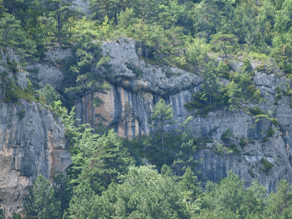 Gorges du Tarn by Wim Constant