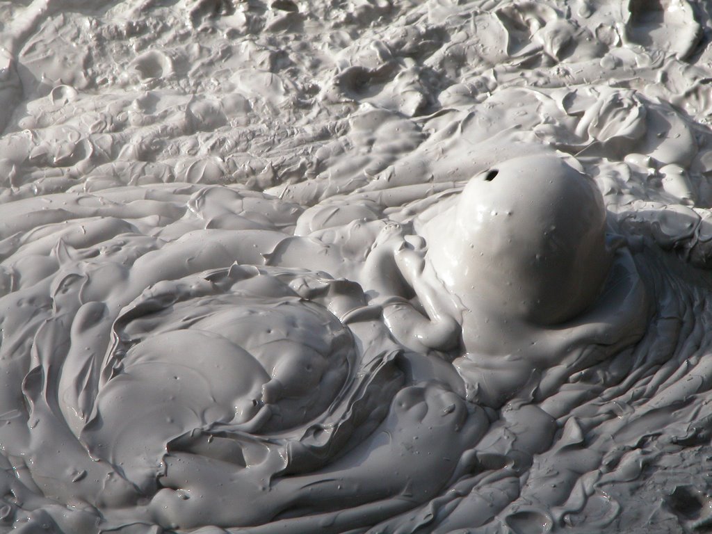 Volcanic Mud and sulfurous geyser gasses by snorth