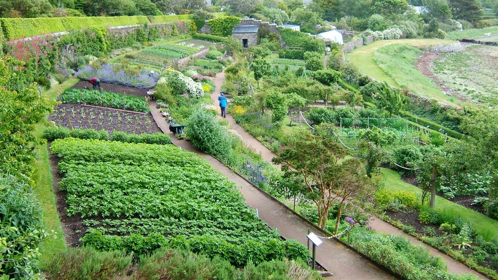 Inverewe Garden by jcferre