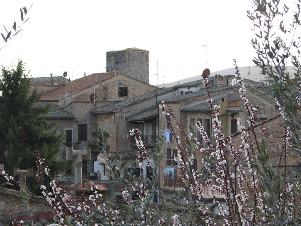 San Gimignano by Barbara Bombonati