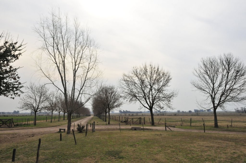 At Ombú de Areco by Dimitri_Papadopoulos