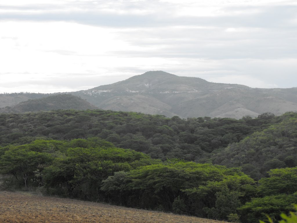 Vista desde tres cerros by moisexy3