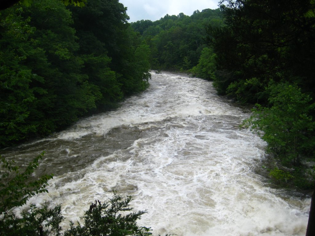 Housatonic River - Kent, CT by Marcelo_Macedo