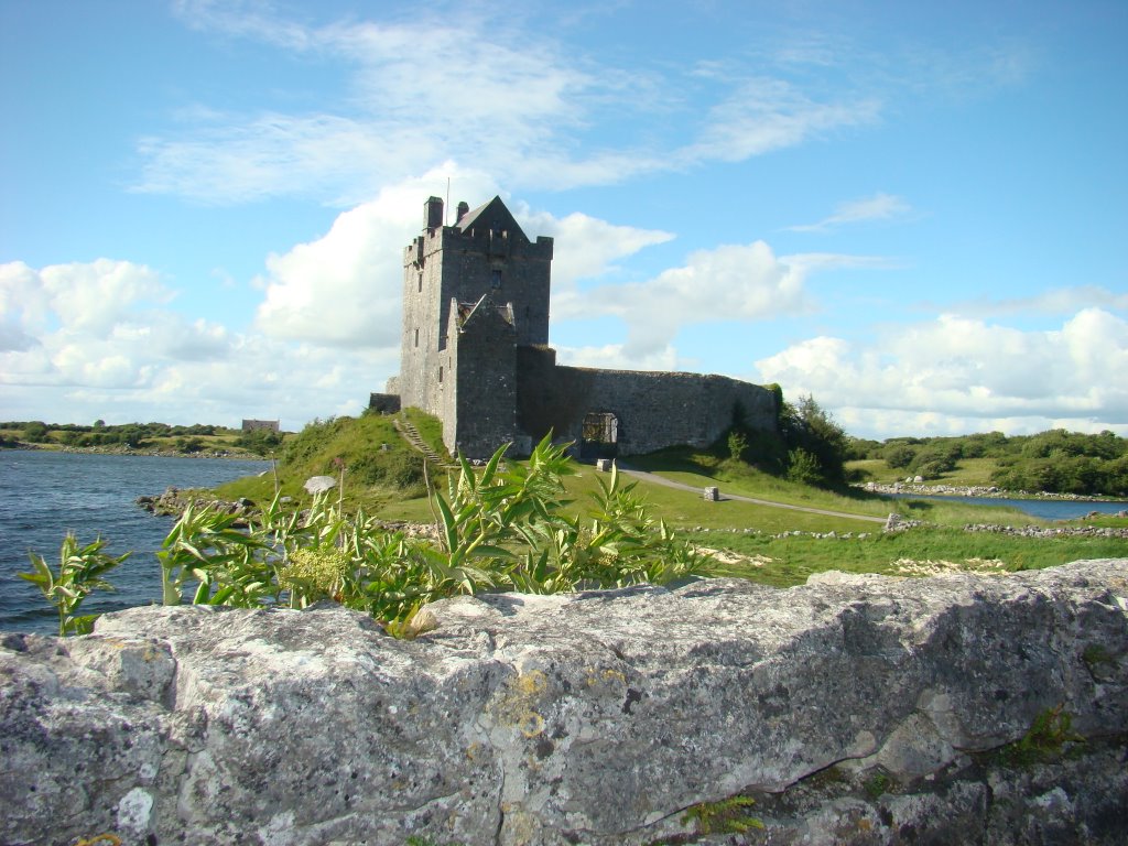 Dunguaire castle by sébastien brunel