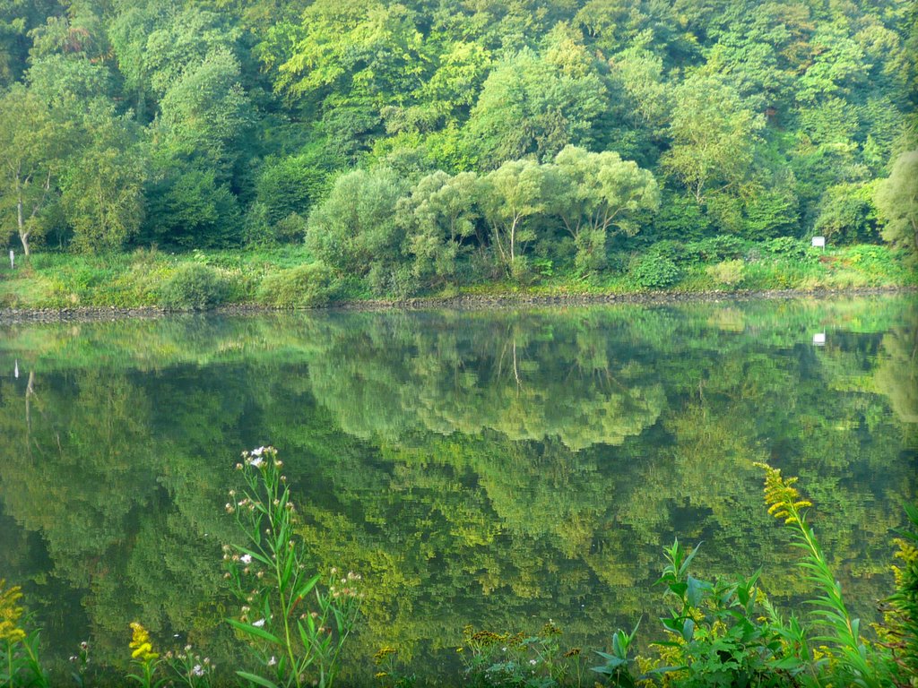 Mosel vor Ediger by Heinz Peierl