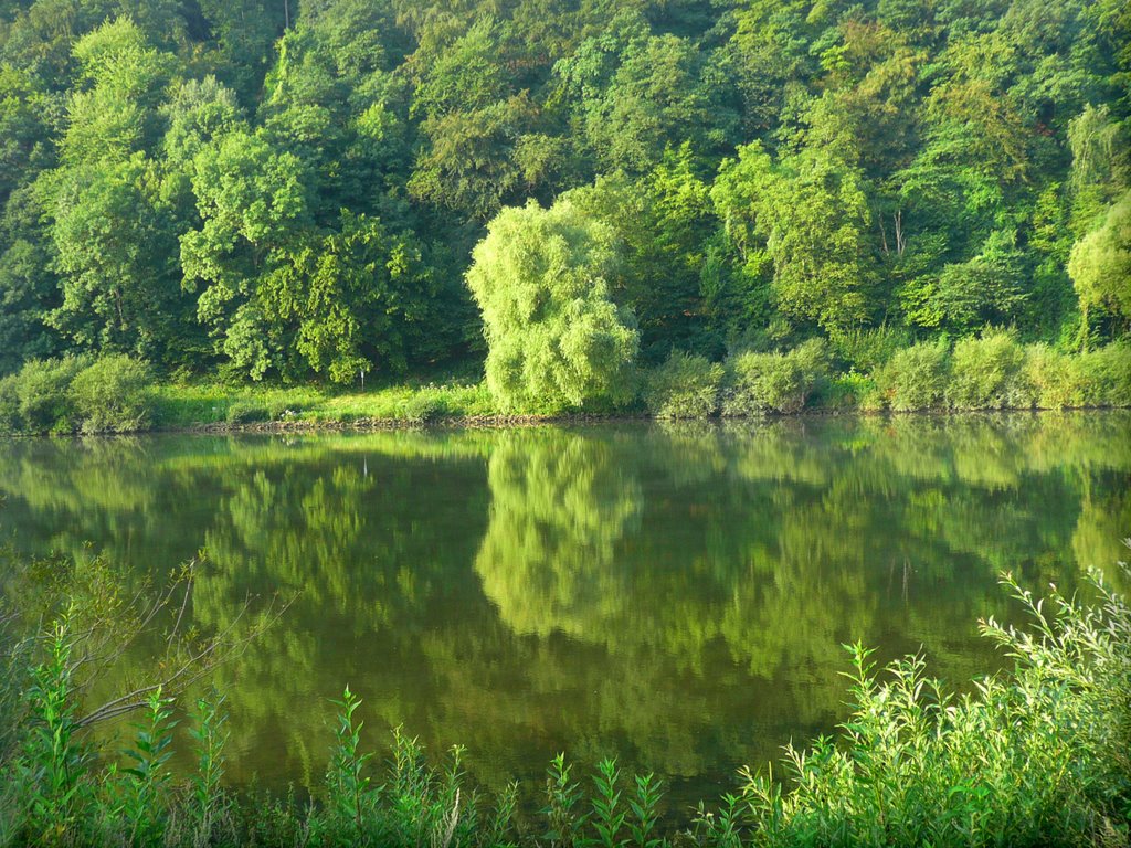 Mosel vor Eller by Heinz Peierl