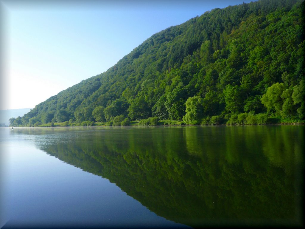 Mosel Eller by Heinz Peierl