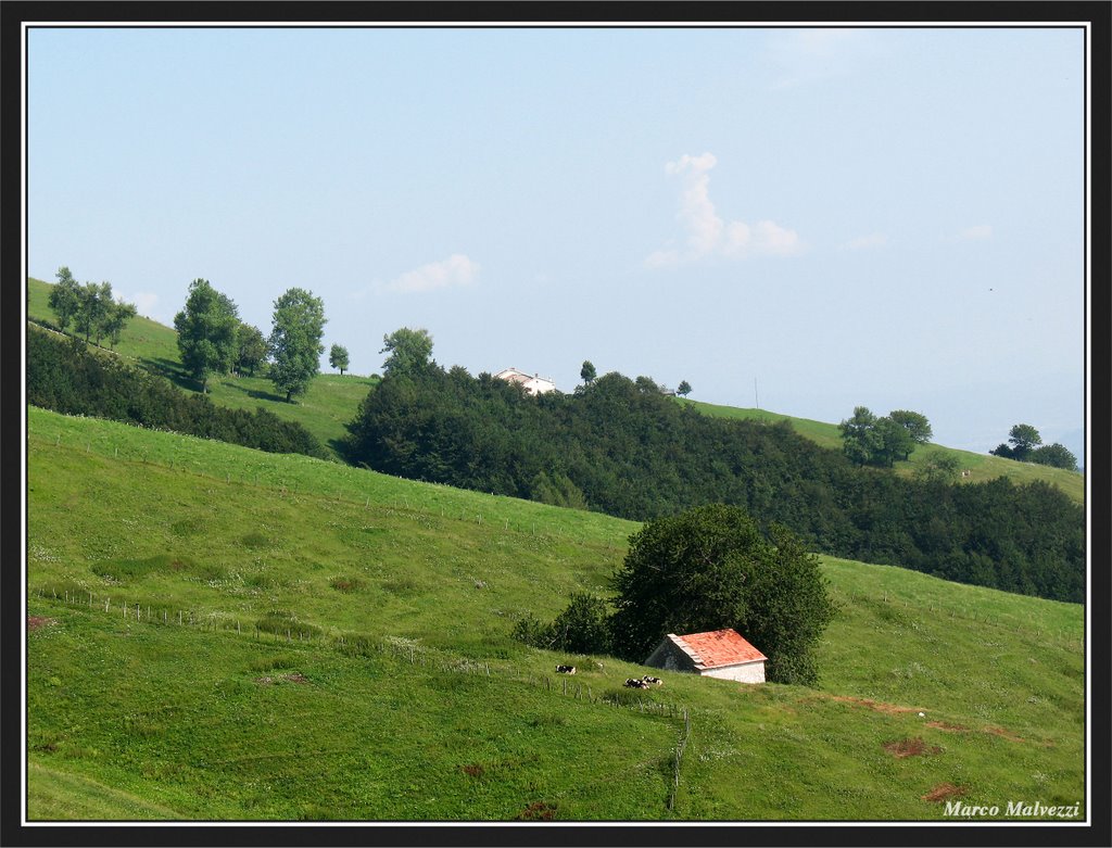 Dintorni di Campofontana. by Marco Malvezzi