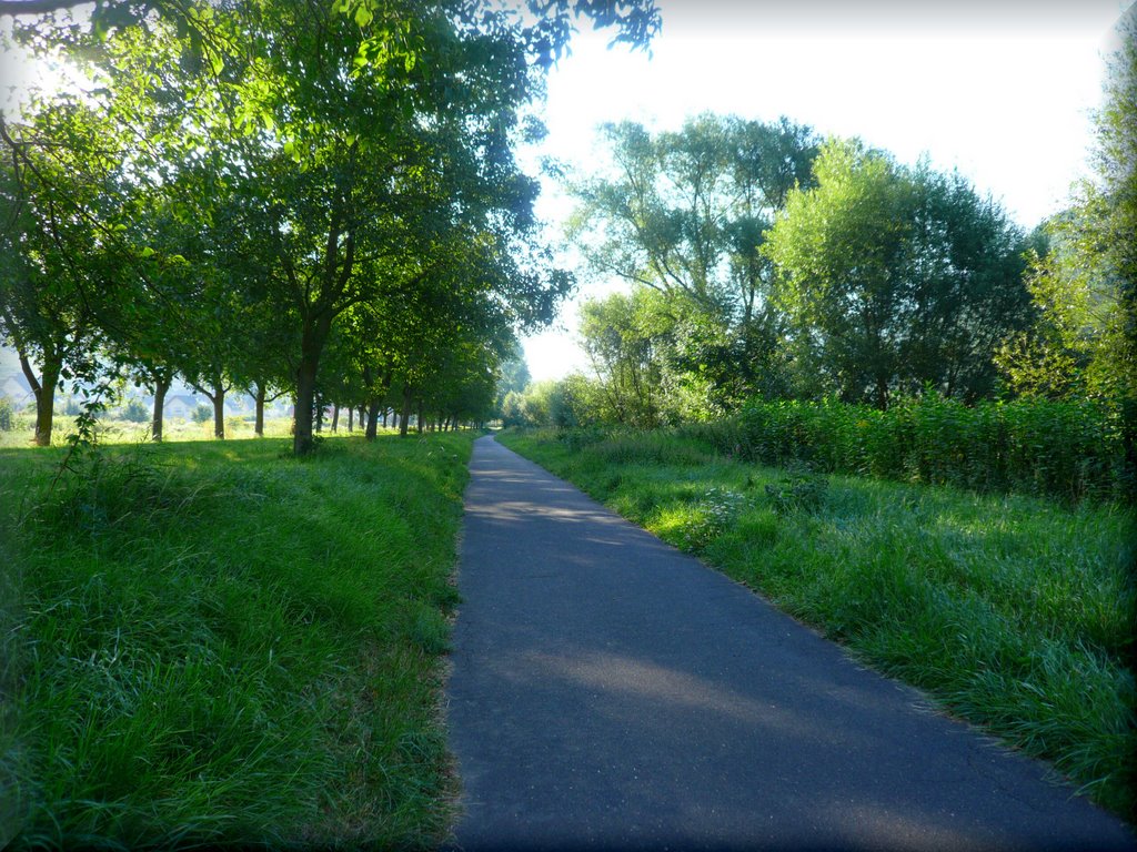 Moselpromenade Eidger-Eller by Heinz Peierl