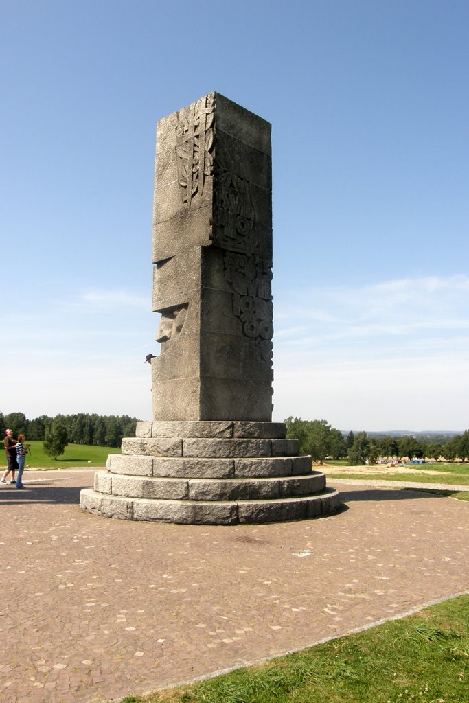 Grunwald - pomnik (monument) by Jerzy I.