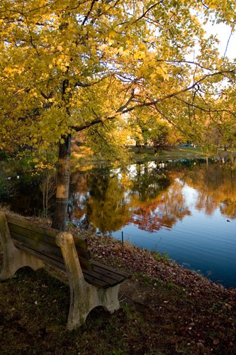 Autumn Bench by ryanrahn